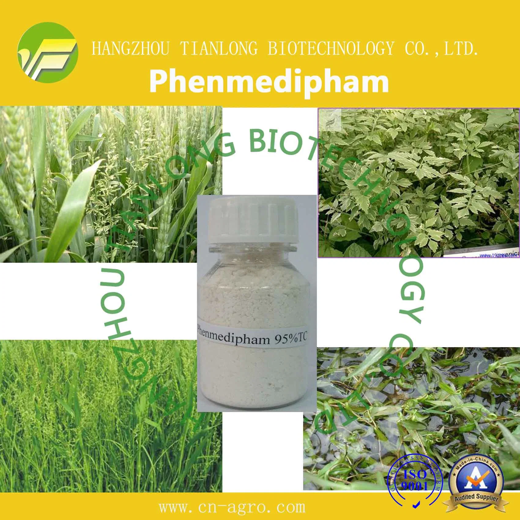 Herbicide Phenmedipham 97%TC  CAS 15299-99-7