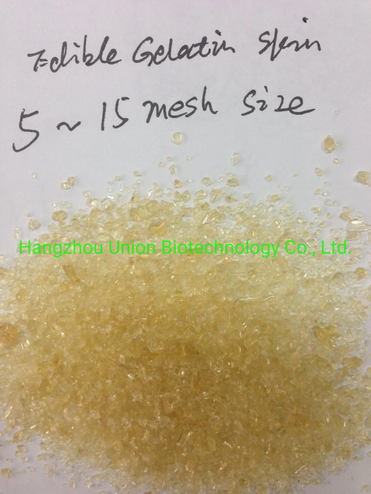 Food Ingredient Edible Gelatin Skin or Bone with Kosher CAS 9000-70-8