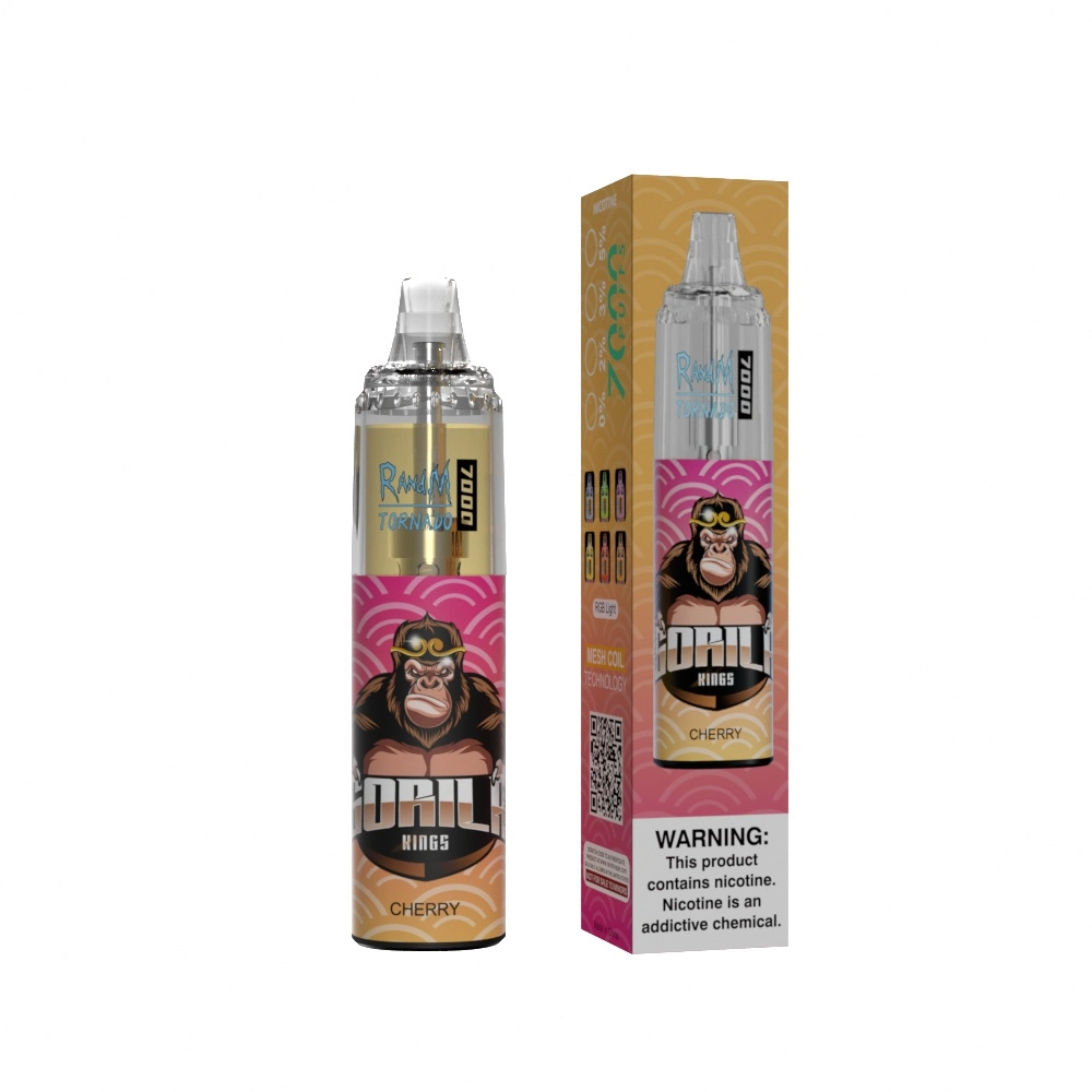 VAPE recargable E desechable E cigarrillos Puffs Fumot Randm Tornado 7000 Puff VAPE Precio pluma