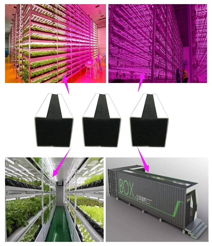 El cultivo interior hidropónico PVC Comederos de Plástico/Alcantarilla para plantar