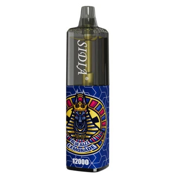 2023 OEM 20ml 12000Puffs de malha bobina descartável Vape Sidia Diposable Distribuição Ecig