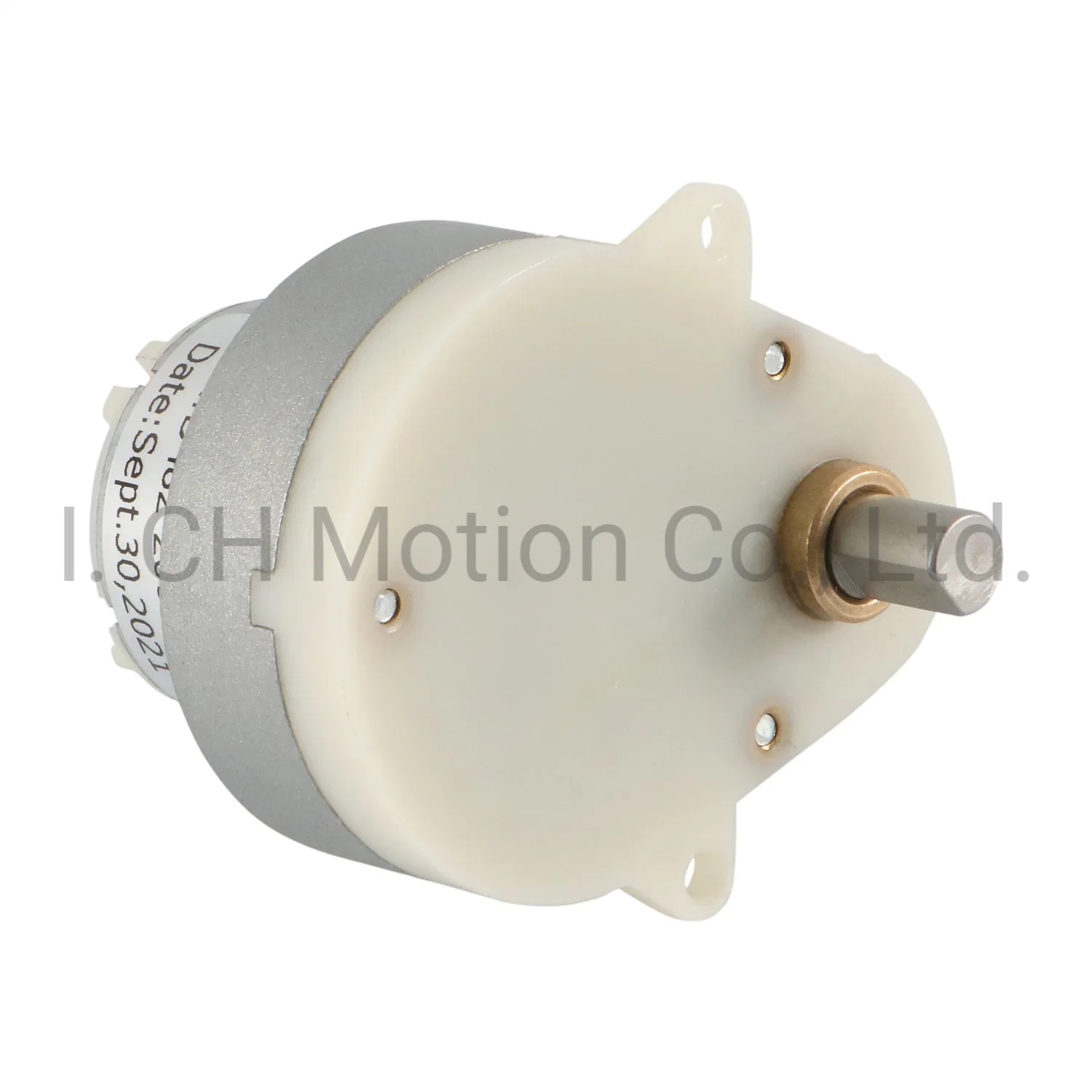 48mm Diameter DC Gear Motor for Automatic Gate Motor