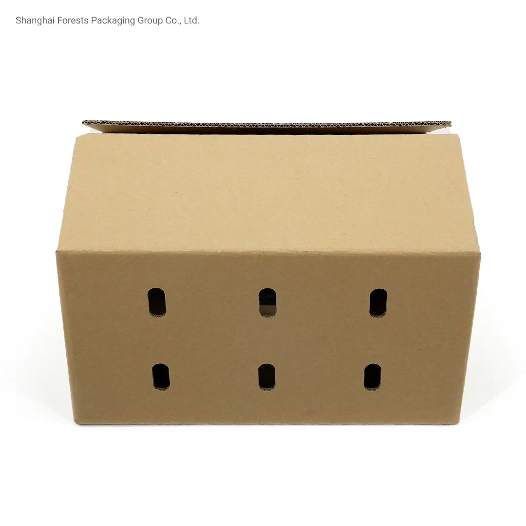 Wholesale/Supplier Corrugated Handle Box Air Holes Shipping Carton Flower Box