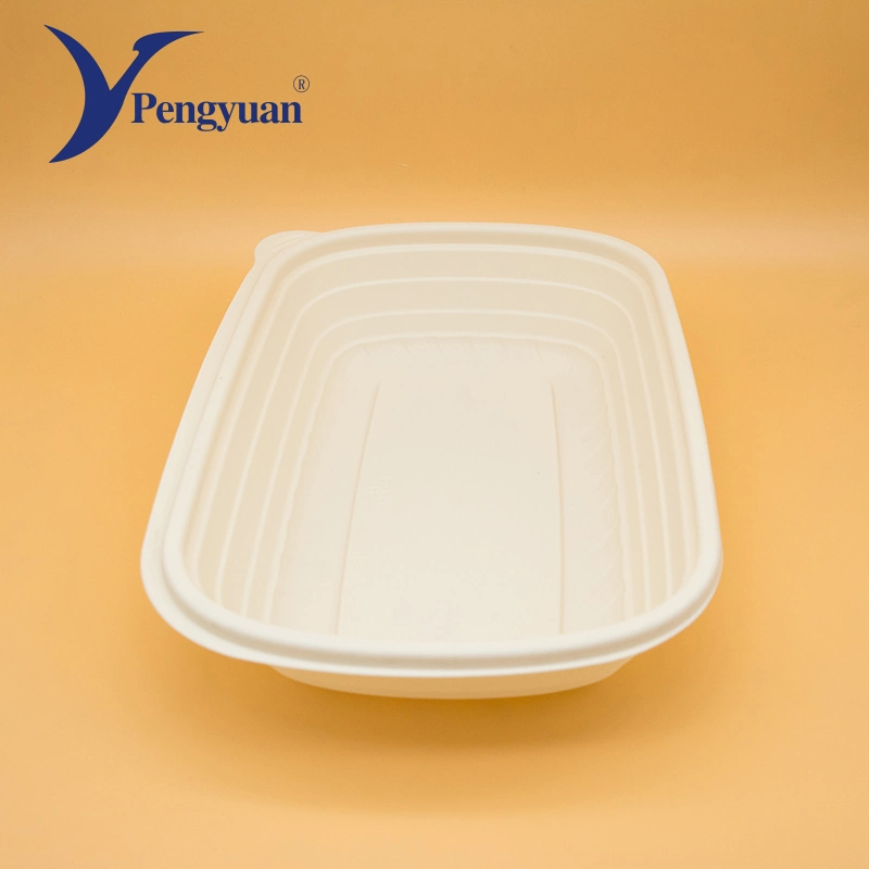 Multi-Style Food Container with Lid and Degradable Corn Starch Material