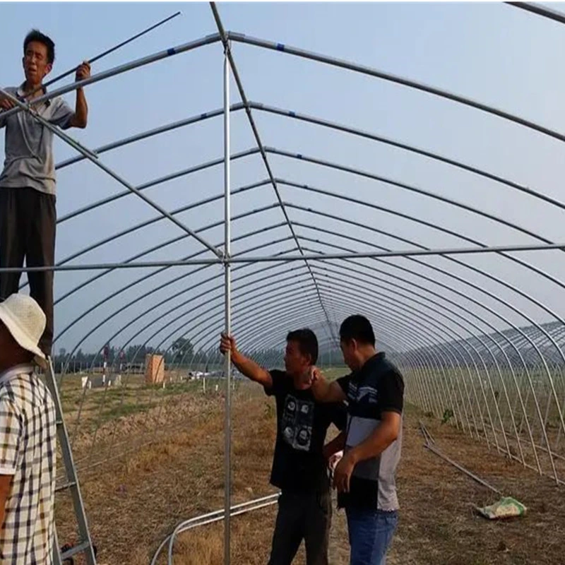 Single Layer Film Lettuce/Spinach/Cerly Greenhouse