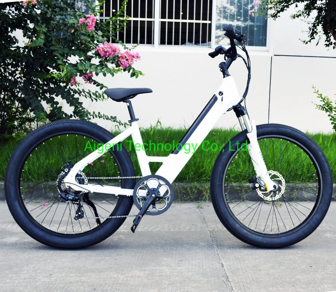 2021 Step Bike for Us Market Supermarket Electric Bike