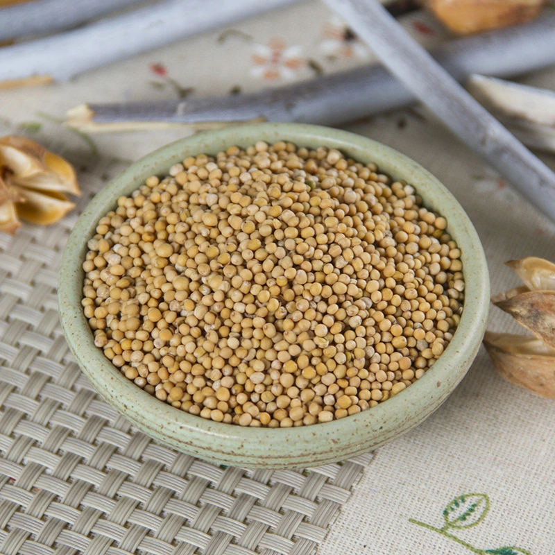 Traditional Traditional Herb Mustard Janpan Popular Spice Raw Material Wasabi