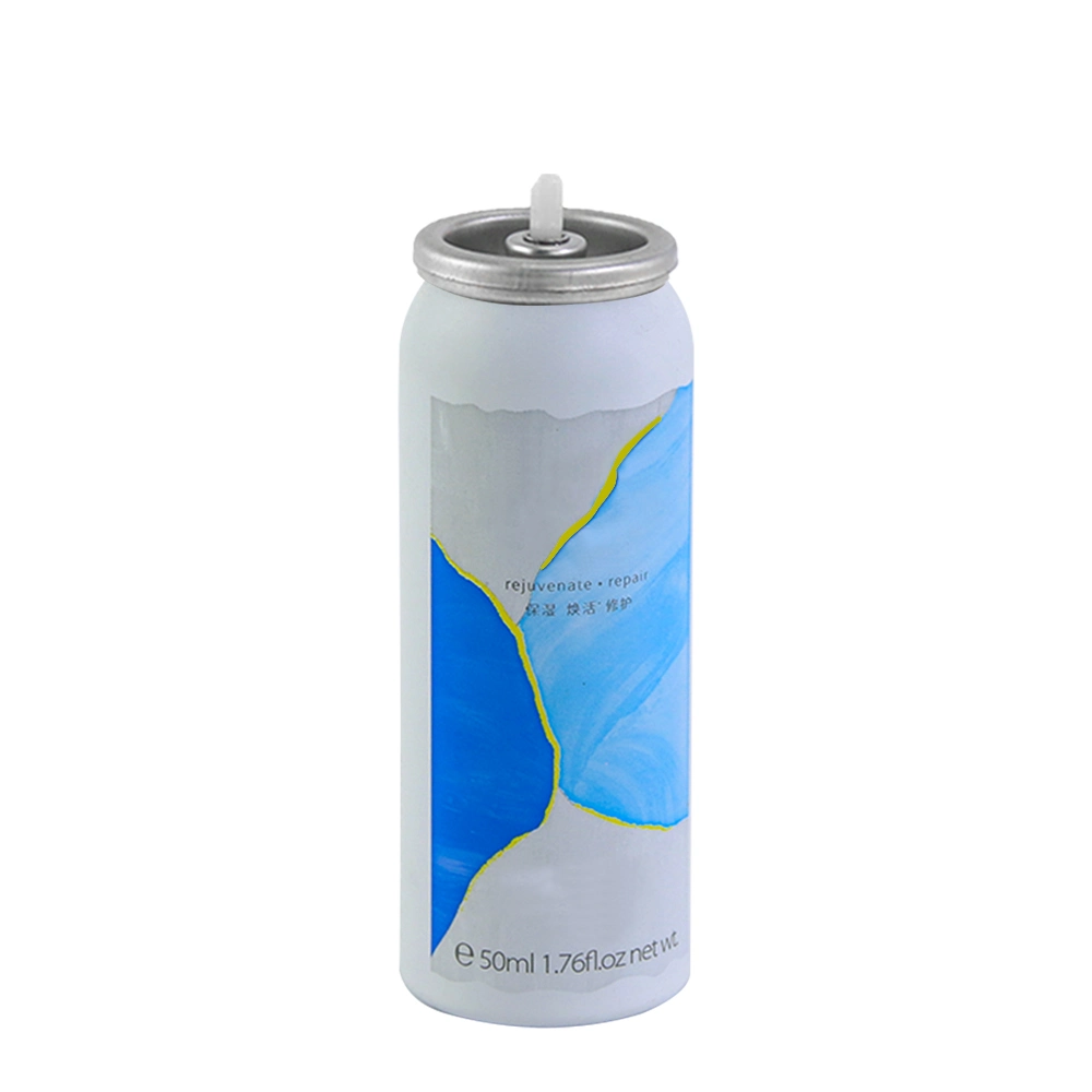 China Manufacture Metal Tins Spray Cans Aerosol Tinplate Can