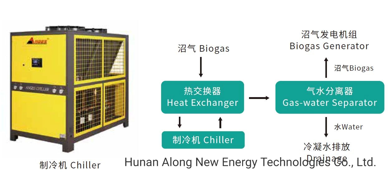 Для получения биогаза Skid-Mounted свалки газа работающей Dehumidifier/очистки/Desulfurization системы