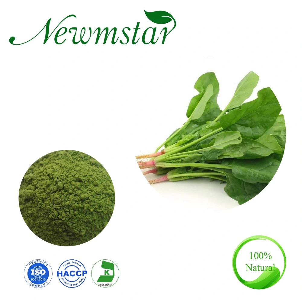 ISO, HACCP, Kosher & Halal Certified 100% Natural Spinach Extract