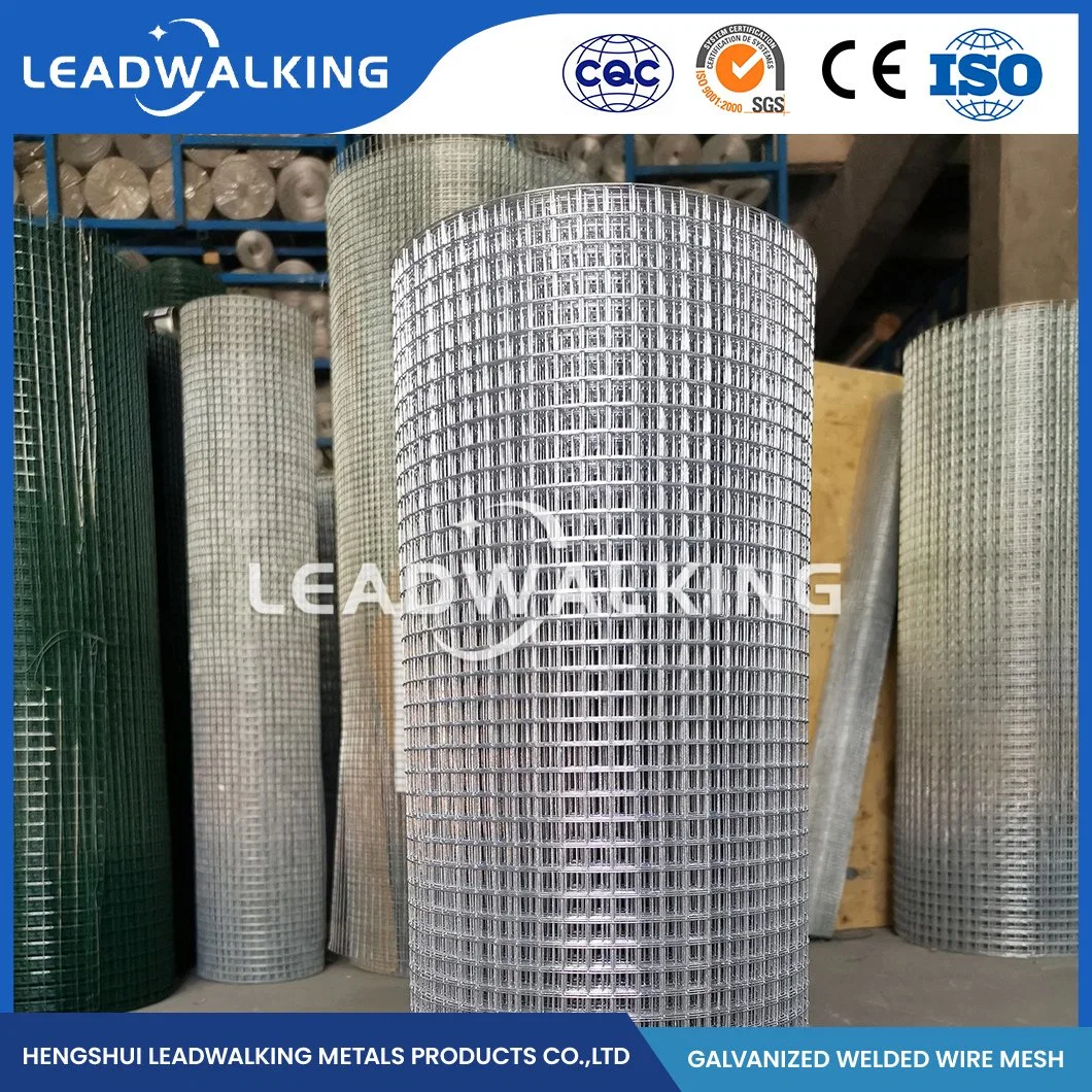 Leadwalking Vinyl Coated Welded Wire Fence Manufacturers Custom 1X1 Welded Wire Mesh China 1/2"X1/2" Inch 3X3 Galvanized Welded Wire Mesh