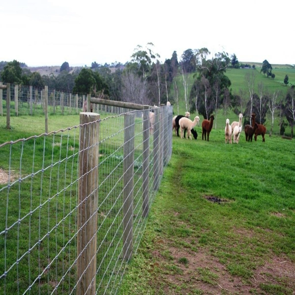 Cruce Galvanzied caliente valla de ganado de campo para la granja