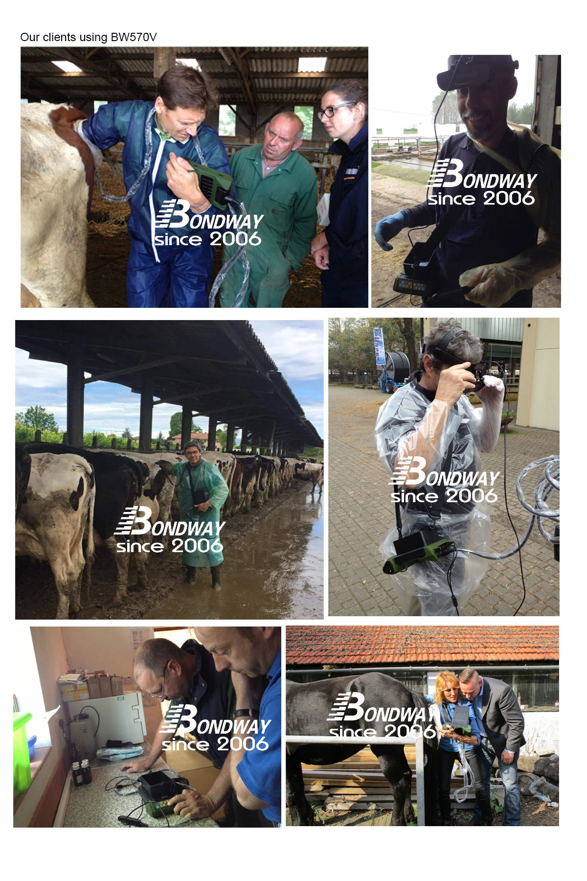 Ecógrafo veterinario, el ultrasonido Machinefor equinos, bovinos, cerdos, perros, gatos, caballos, ganado, vaca, cabra, oveja, veterinario de la máquina de ultrasonidos