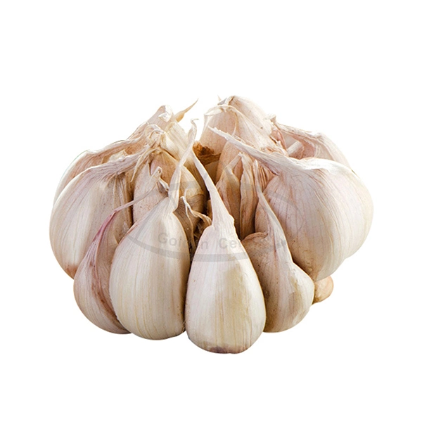 China/Chinese Fresh White Garlics Supplier (red garlic/white garlic) 500g/1kg