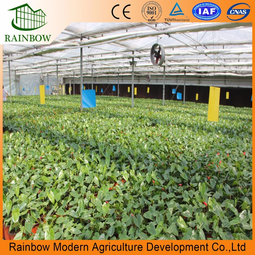 Multi-Span Poly House Micron UV Plastic Film Greenhouse for Sale