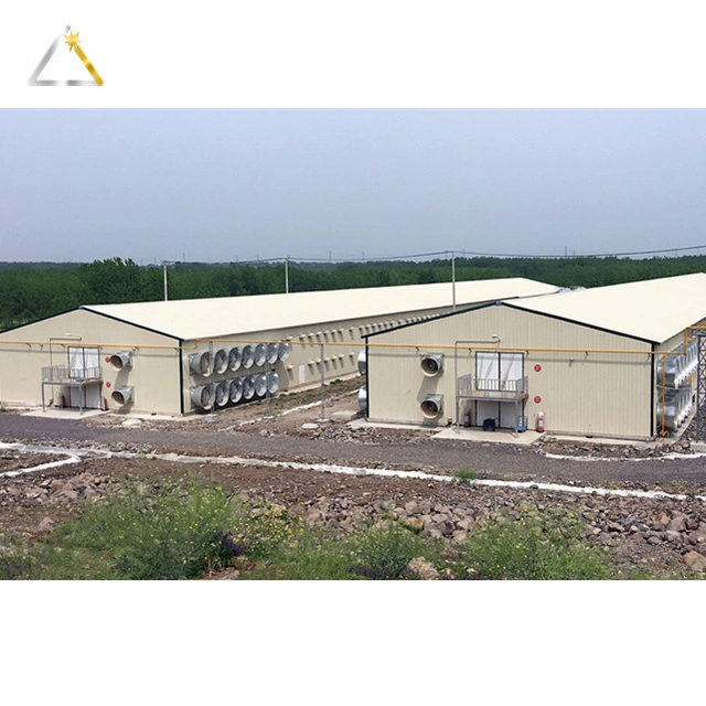 Jinggang Hot DIP Galvanized Long Life Steel Structure Poultry Chicken House with Pan Feeding Line System