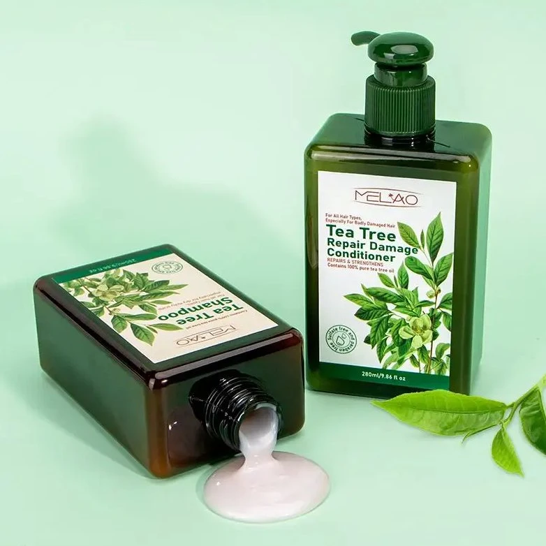 Sulfato livre Itch alívio couro cabeludo limpeza Shampoo Tea Tree óleo Conjunto de lavagem corporal com champô