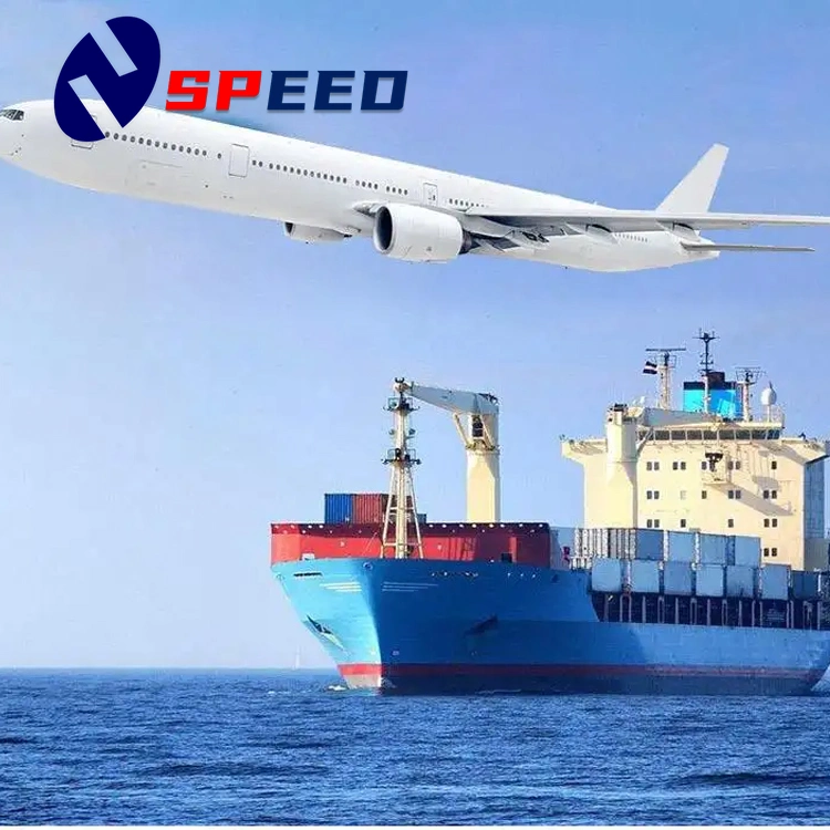 Fast and Reliable Air/Sea Freight Forwarder Shipping Agent From China to USA