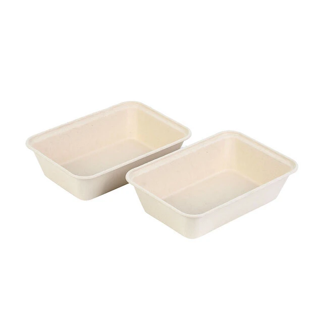 1100ml desechable de fibra de bambú contenedor de envases de alimentos Bento Box Lunch