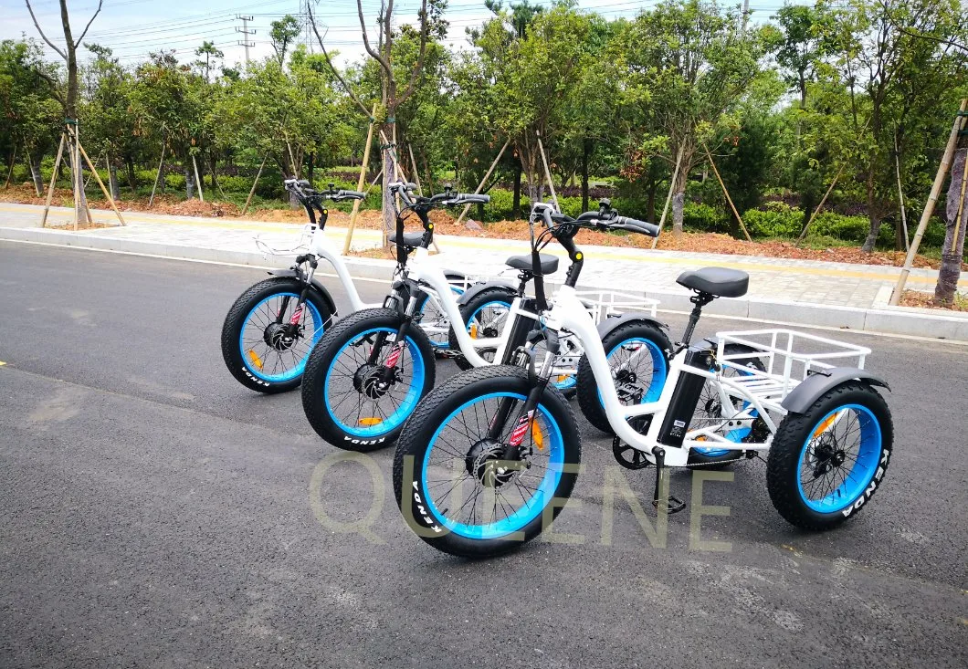 Queene/ Three Wheeler Electric Fat Tire Tricycles with LCD Display and Suspension Fork 3 Wheels Bike Trike Snow Big Tire for Sale