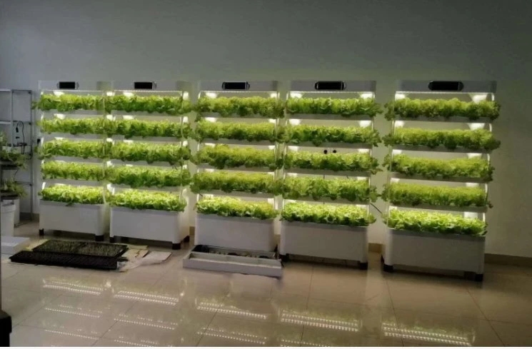 Bon prix 12 trous de la culture hydroponique Vertical système hydroponique Kit plante légumes poussent