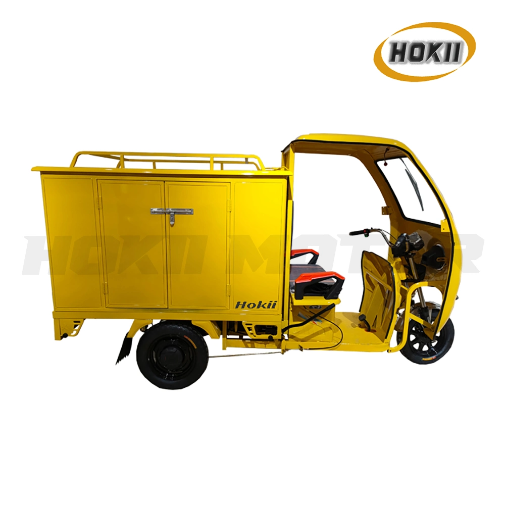 Popular Sell Express Delivery Tricycle Electric Cargo Triciclo in China Local Market