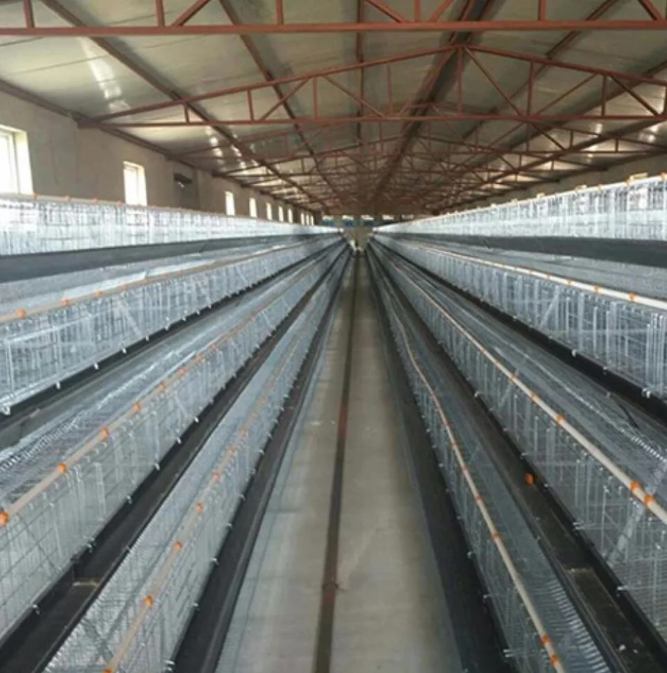Geflügelfütterungsgeräte/Tiermaschinen/Geräte/Heiß Verzinkter Automatischer Hühnerfarm Geflügelkäfig System-/Batterieschichtkäfig für Broiler/Geflügelfarm