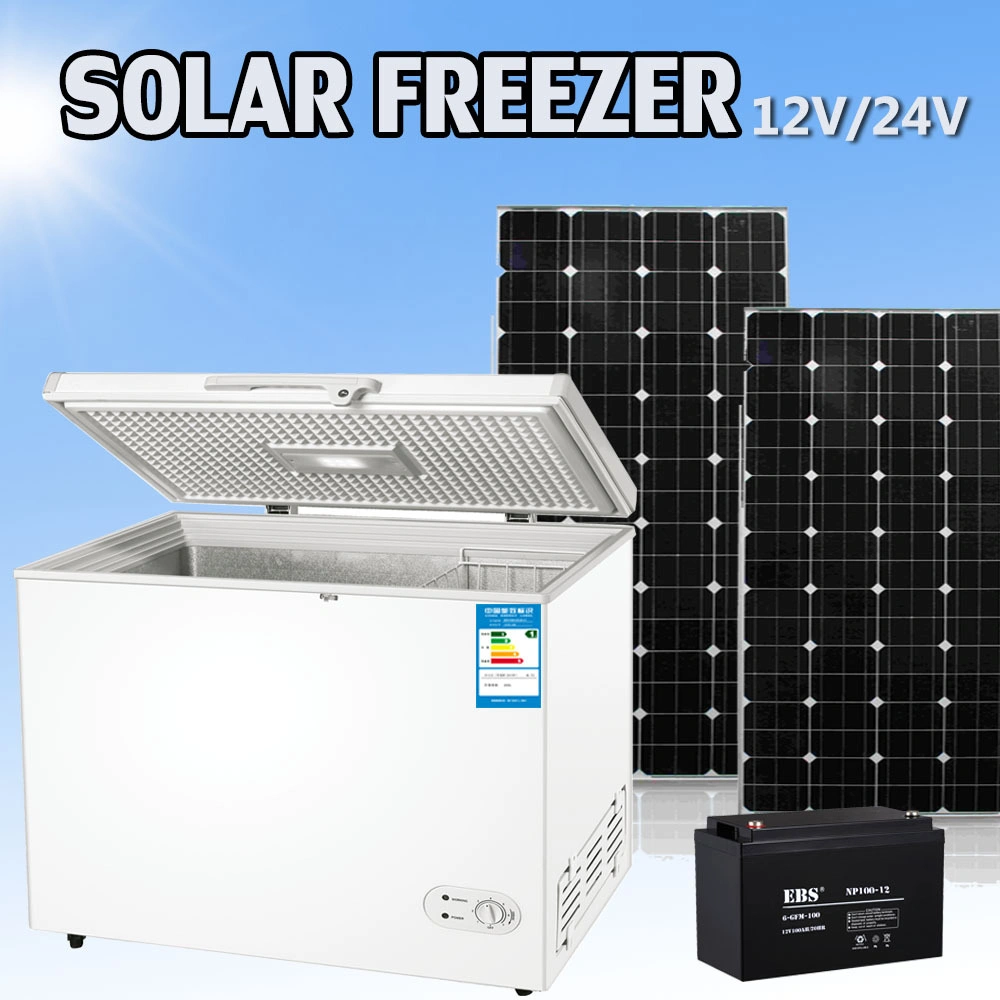 258L 12V or 24V DC Compressor Solar Commercial Freezer