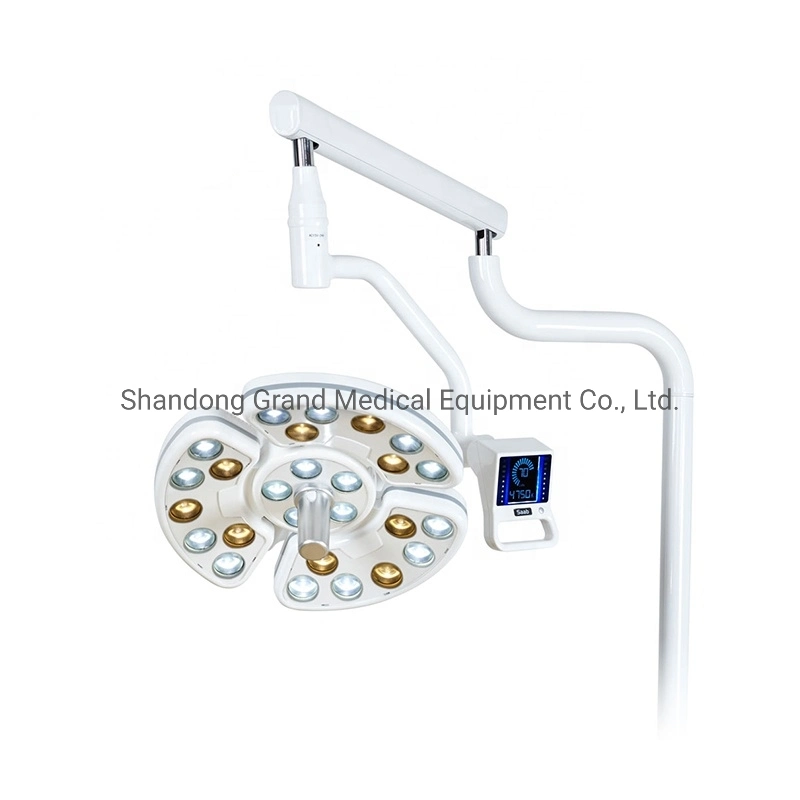 Dental Operatory Lights Suirgical Operating Lamp Shadowless 26 LED Lens Touchscreen Panel Sensor Dental Implant Surgery Lamp