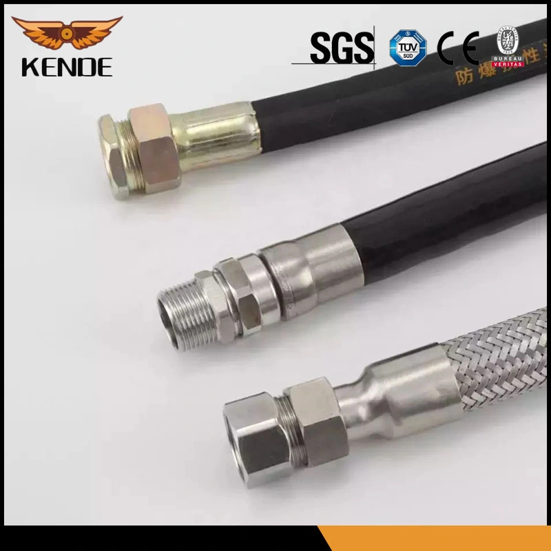 An6 Synthetic Rubber Hose 5 Meters and 10 Aluminum Hose Ends Connector Suit Assembly Transmission Hydraulic Hose