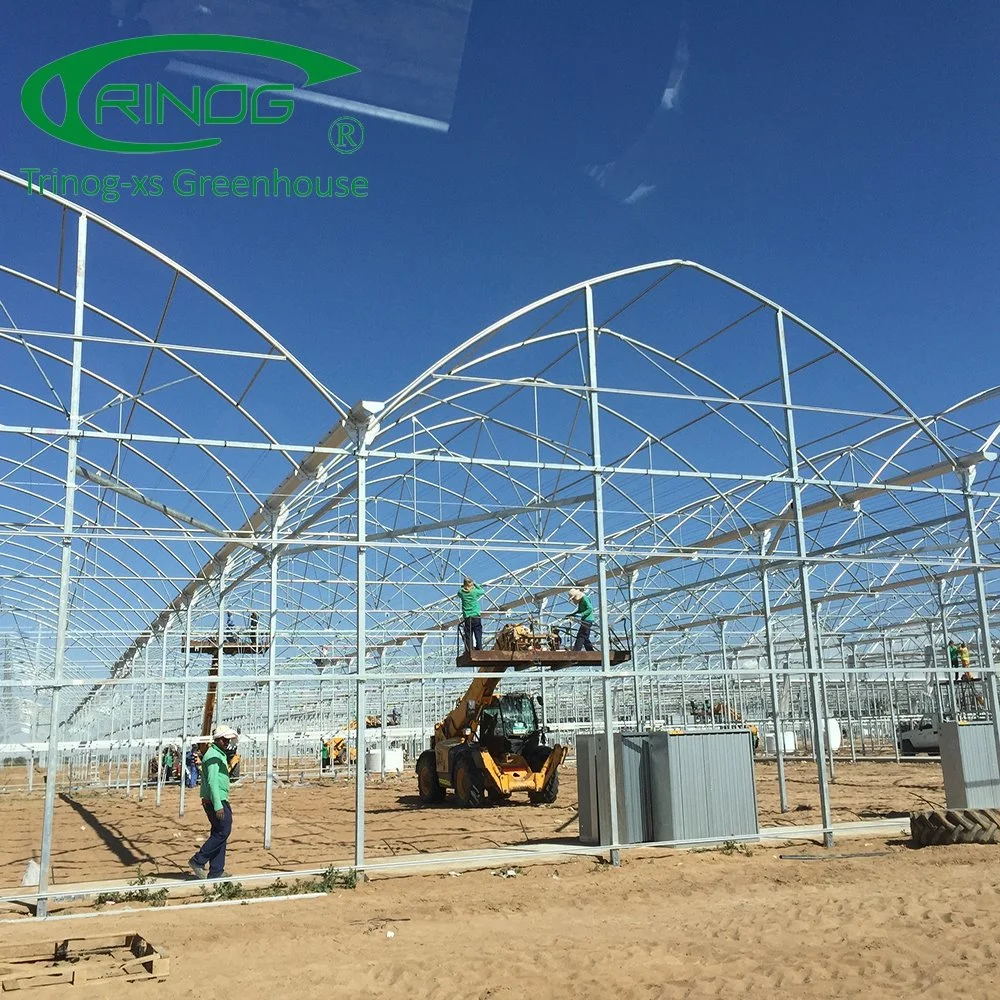 Gutter Connected poly Film Greenhouse near me for Seeding