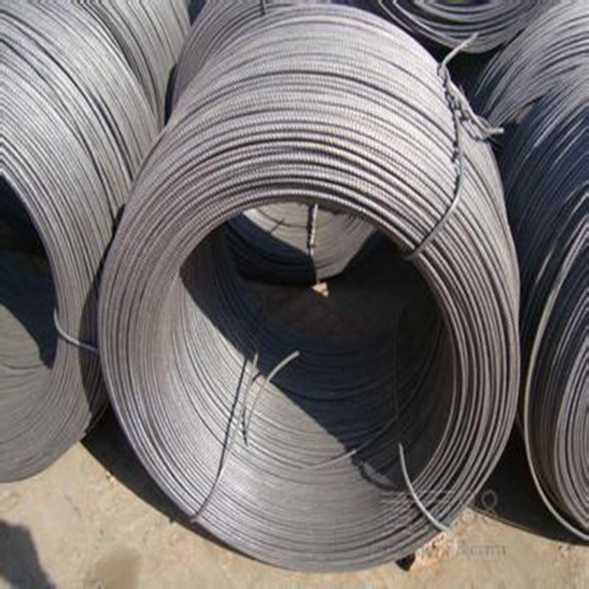 Hohe Qualität/hohe Kostenleistung ASTM Standard Kaltheading Wire Rod Runddraht Stabstahl