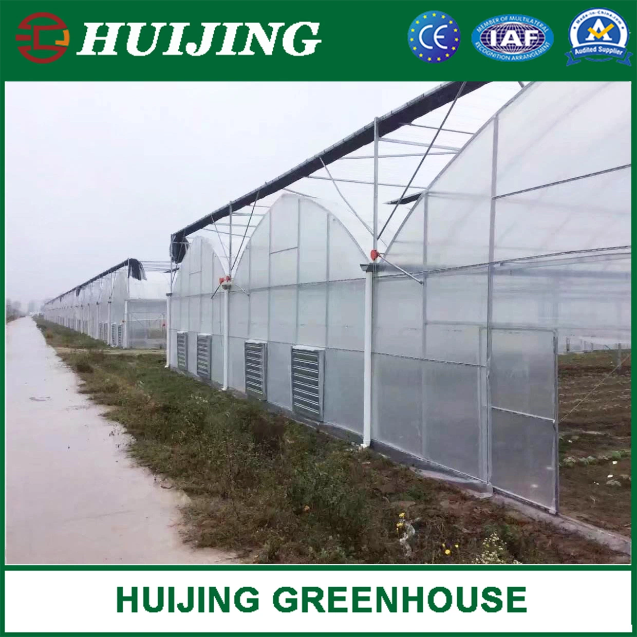 Cheap Customized UV Treated Plastic Film Greenhouse for Tomatoes