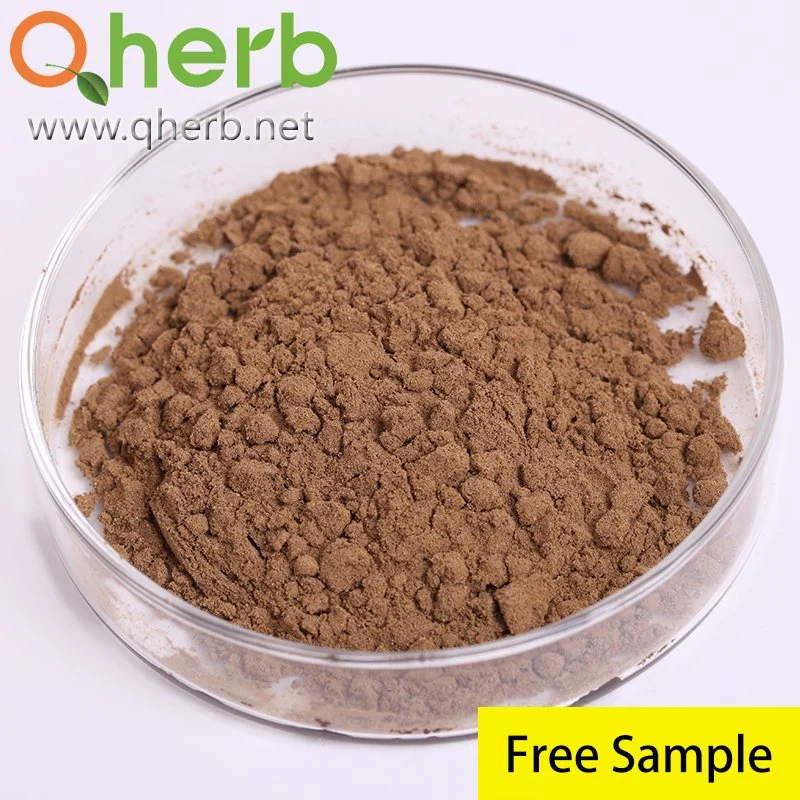 Natural Plant Extract Eleutherosides (B+E) >0.8% Acanthopanax Senticosus/Eleutherococcus Senticosus/Organic Siberian Ginseng Extract for Immune System