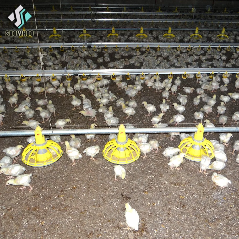 Hot-DIP Galvanized H-Frame Complete Auto Pullets Rearing Chicken Brood Cage System for Chicken Farm Building for Philippines