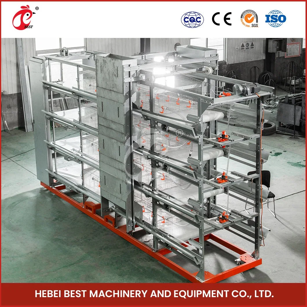 Bestchickencage H Frame Broiler Cages China Small Chicken Coop Manufacturing Light Steel Material Design Broiler Cages