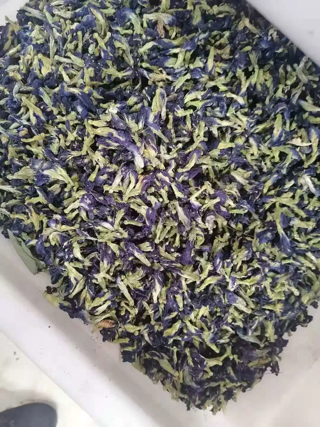 Natural Organic Pigment Wholesale/Supplier Dried Blue Butterfly Pea Flower Tea or Powder for Food