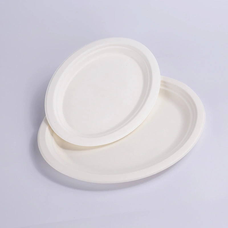 Assiettes en papier, sacs résistants à la graisse en bagasse biodégradables jetables pour fêtes.