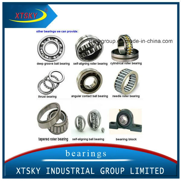 Xtsky Good Quality Auto Clutch Release Bearing (CT1310)