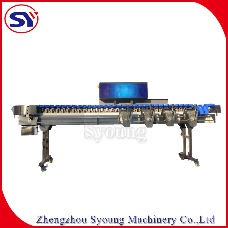 Multi-Level Seafood Sea Cucumber Weight Size Grading Classify Machine for Aquatic Industry