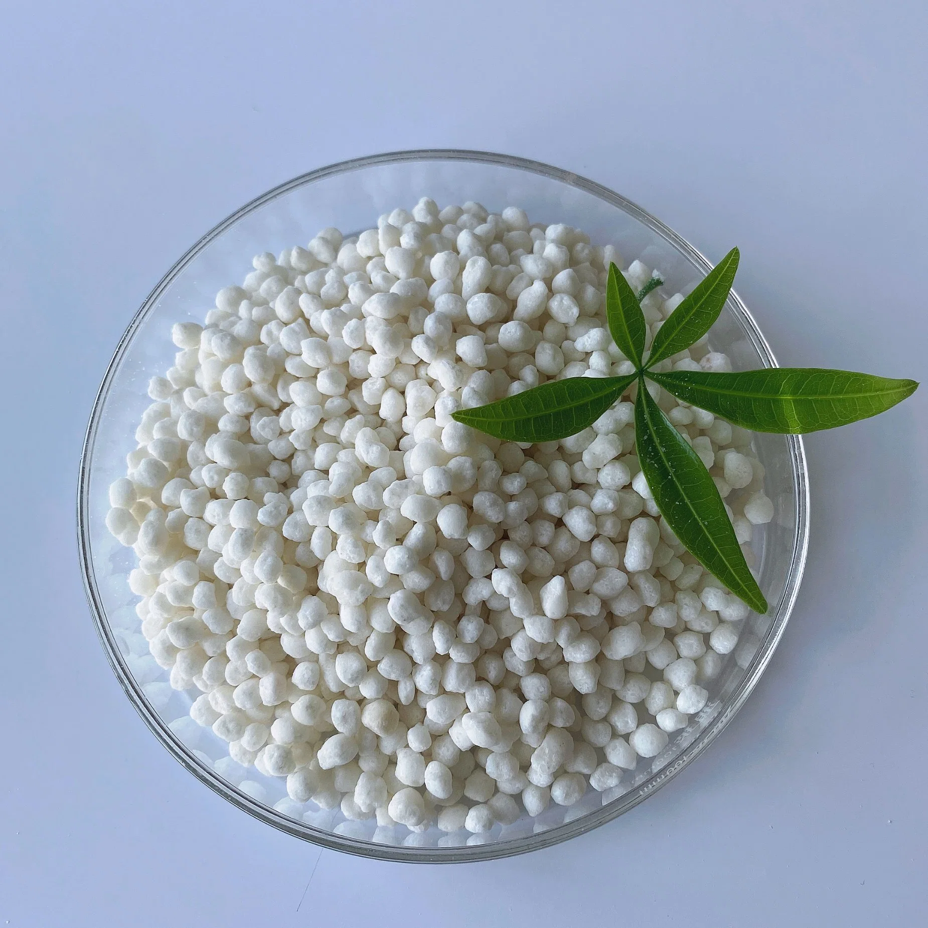 99% Granular Ammonium Sulphate From Ammonium Sulfate Factory