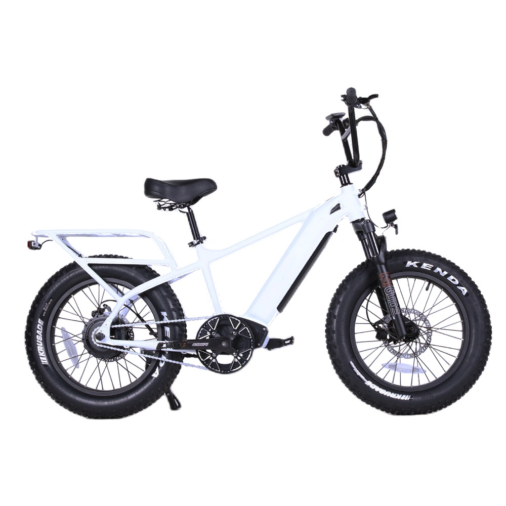 2023 Unisex Paso a través de 20 pulgadas 500W Fat Tire Electric City Bike