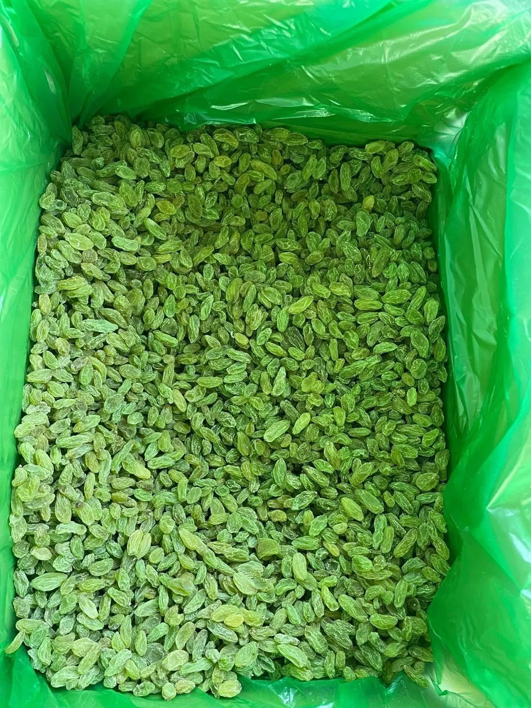 90%-95% Green Raisins China Origin Factory Supply