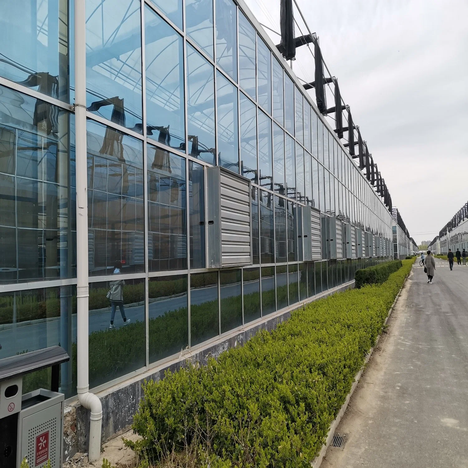 Aluminium Profiles Glass Greenhouse with Cooling System