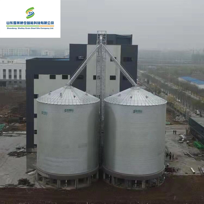 3000t 5000t Corn Pady Rice Barley Grain Storage Flat Bottom Silos Factory Price for Sale