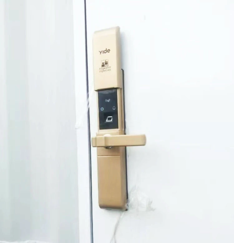 Security Metal Door with Smart Lock for Mobile Shops (CHAM-MDA606)