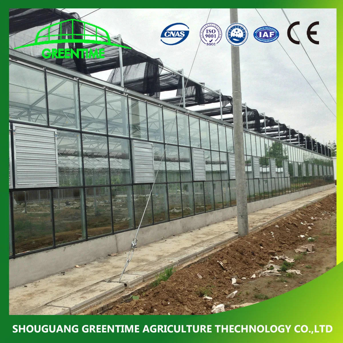 Competitive Venlo Type Galvanized Steel Structure Glass Greenhouse with Irrigation System for Hydroponics/Strawberry/Vegetables/Flowers/Tomato/Cucumber