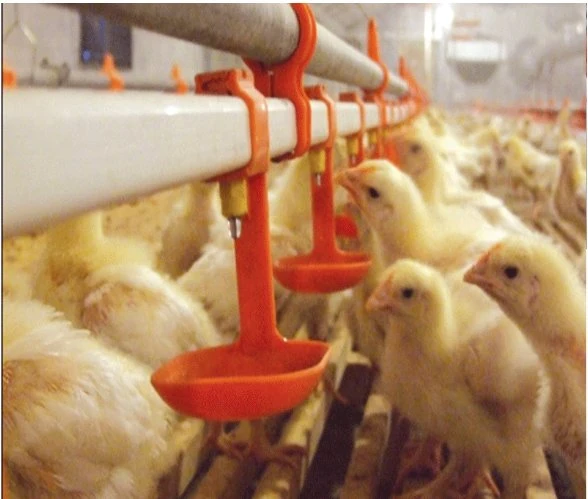 Poultry Farm Broiler Cage Automatic Feeding System Nipple Drinker for Chicken