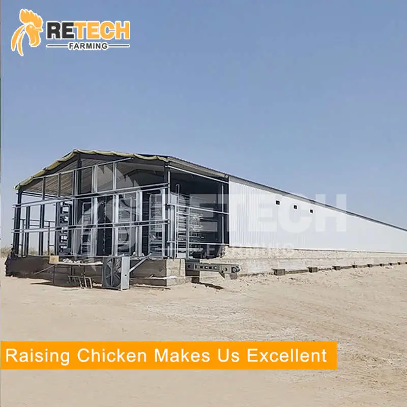 Modern design prefab steel structure poultry house layer chicken farm for 20000 birds