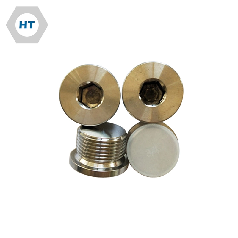 Hex Plug, SS316 Pipe Plug, G 1/2" A4 DIN908 Hexagon Socket Screw Plugs with Parallel Screw